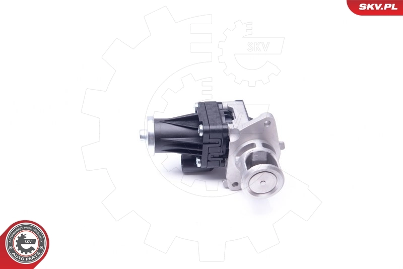 EGR Valve